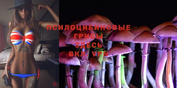 прущие грибы Арсеньев
