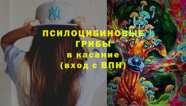 мдпв Армянск