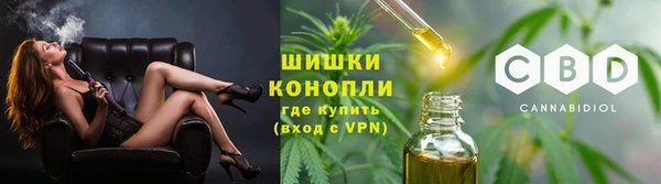 молекула духа Пролетарск