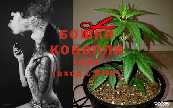 прущие грибы Арсеньев