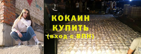 прущие грибы Арсеньев